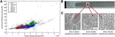 Gas Bubble Evolution in Polycrystalline UMo Fuels Under Elastic-Plastic Deformation: A Phase-Field Model With Crystal-Plasticity